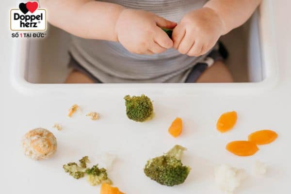 BLW là phương pháp ăn dặm một cách tự nhiên, bé được chọn lựa thức ăn mà mình thích, được học cách tự ăn và tự kiểm soát mọi thứ
