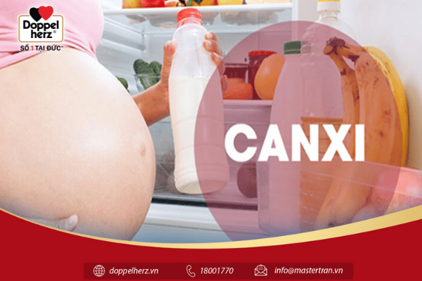 Canxi có vai trò vô cùng quan trọng đối với mẹ bầu và thai nhi