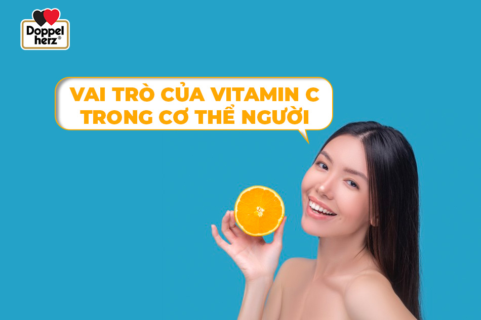 Vai trò của vitamin C trong cơ thể người
