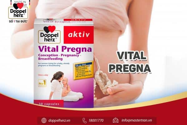 Vital Pregna chứa dưỡng chất cho mẹ bầu giúp thai kỳ trọn vẹn