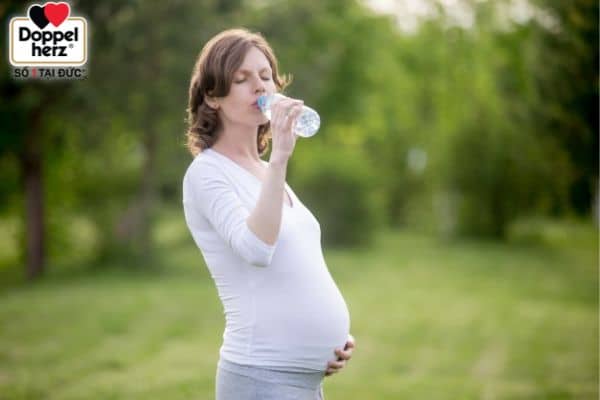 Nước đóng vai trò quan trọng với sức khỏe thai kỳ và giúp giảm tình trạng ốm nghén hiệu quả