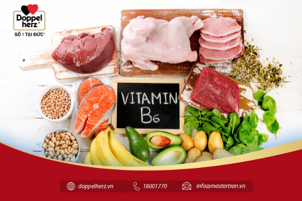 Vitamin B6 giúp quá trình chuyển hóa chất đạm và chất béo diễn ra tốt hơn, hỗ trợ các hoạt động hệ miễn dịch, nuôi dưỡng hệ thần kinh.