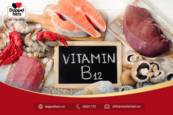 Vitamin B12 hỗ trợ các tế bào máu và các tế bào thần kinh luôn khỏe mạnh.
