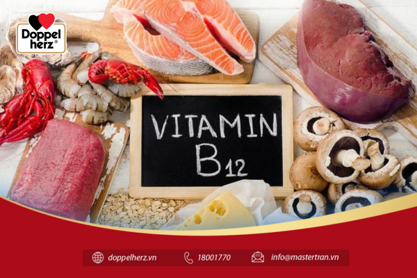 Vitamin B12 với nhập sữa, những chế tác sinh học kể từ sữa, thịt trườn, cá hồi, gan…
