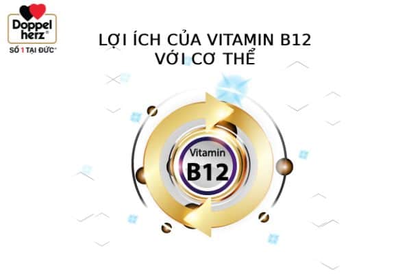 Vitamin B12 có tên khoa học là cobalamin, là một loại vitamin có thể tan trong nước