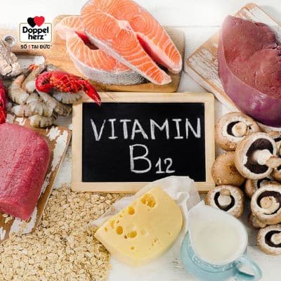 Vitamin B12 làm j my với các tế bào thần kinh của cơ thể?

