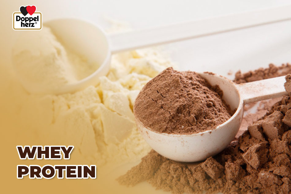 Whey Protein đóng vai trò quan trọng trong việc giảm hạ canxi máu