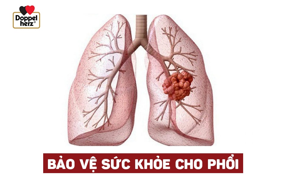 Bảo vệ sức khỏe cho phổi