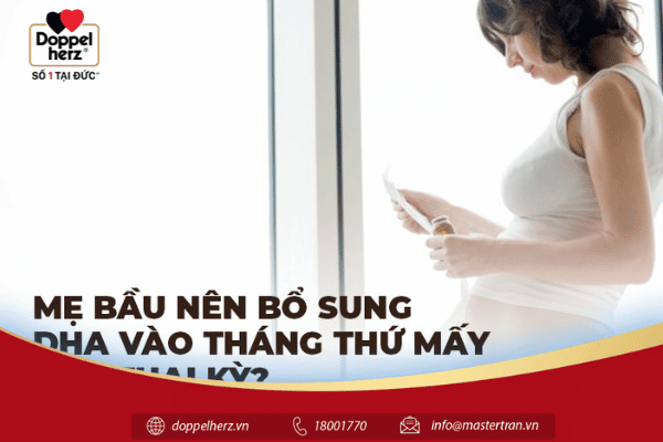 Mẹ bầu nên bổ sung DHA vào tháng thứ mấy của thai kỳ?