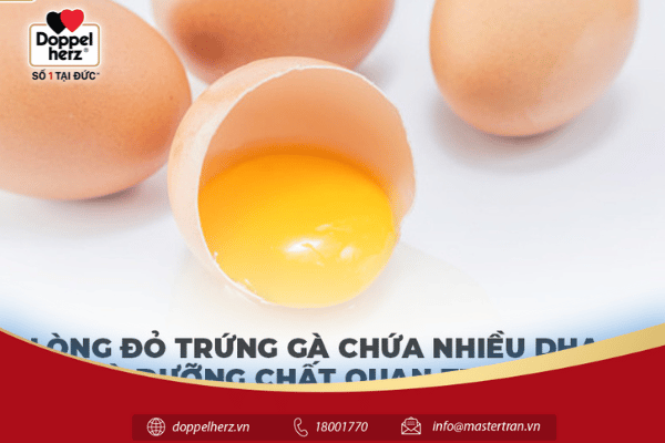 Lòng đỏ trứng gà chứa nhiều DHA và dưỡng chất quan trọng