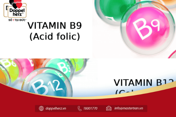 Vitamin B9 cùng vitamin B12 dưỡng chất cần thiết giúp giảm nguy cơ dị tật thai nhi