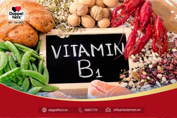 Vitamin B1 có nguồn gốc từ động vật: cá ngừ, cá thu, cá hồi, trai, thịt lợn, thịt bò,..