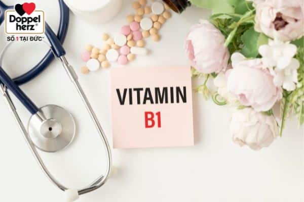 Thiếu hụt vitamin B1 gây nên các vấn đề về sức khỏe: sụt cân, biếng ăn, các vấn đề về tâm thần
