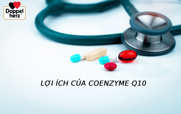 loi-ich-cua-coenzyme-Q10