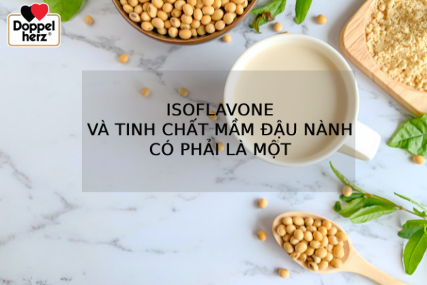 Isoflavone là thành phần quan trọng chứa trong tinh chất mầm đậu nành
