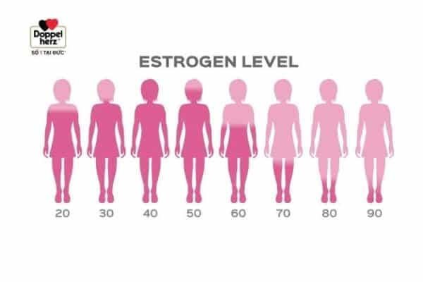 Nồng độ Estrogen ở phụ nữ suy giảm theo thời gian