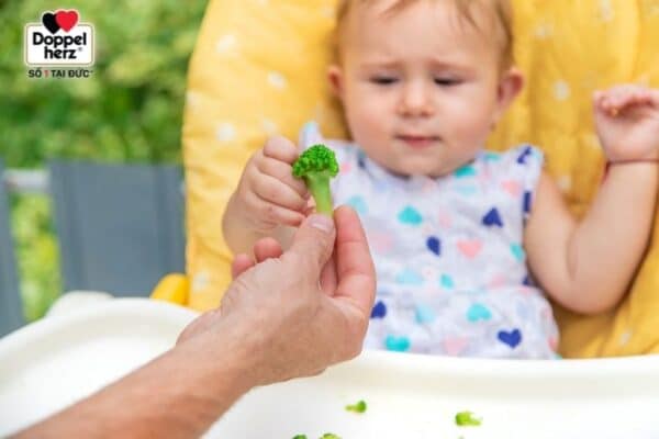 Bố mẹ có thể cho trẻ mọc răng nanh ăn rau xanh chín mềm