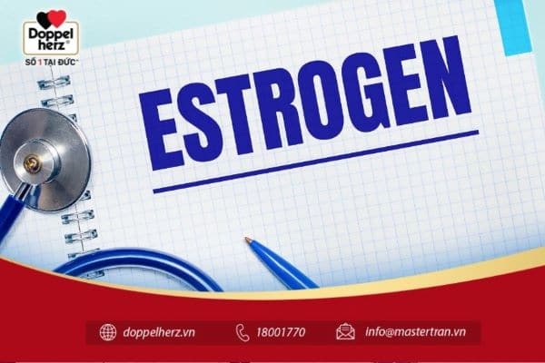 Nội tiết tố nữ Estrogen là hormone sinh dục vô cùng quan trọng với phái đẹp