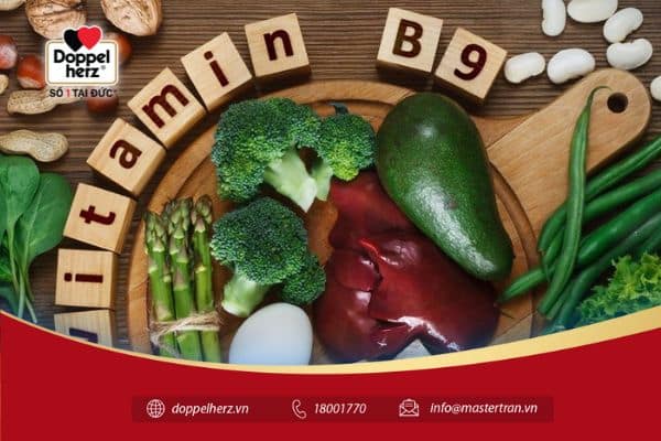 vitamin b9 là gì