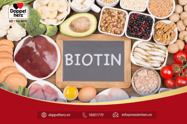 Biotin là vitamin gì?