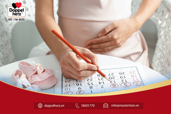 Dấu hiệu cho thấy thai nhi phát triển tốt trong 3 tháng đầu