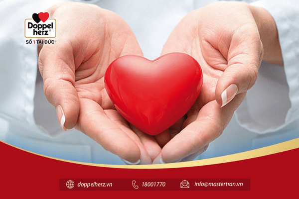Bổ sung selen sẽ giúp đỡ bảo đảm an toàn sức mạnh cho tới tim mạch