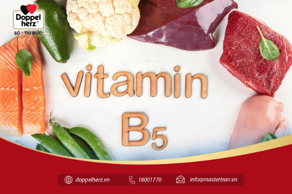 Vitamin B5 là gì?