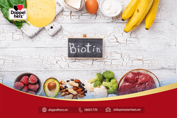 Biotin là một loại vitamin tan trong nước có nhiều công dụng với sức khỏe
