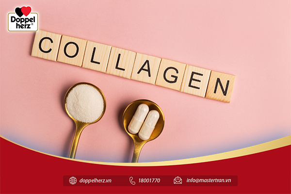 Collagen là dưỡng chất thường gặp trong viên uống đẹp da chống lão hóa