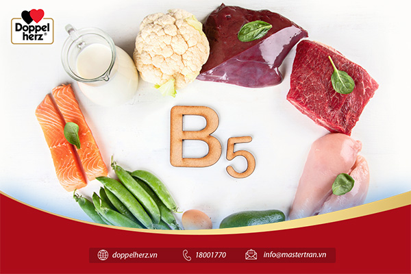 Vitamin B5 có công dụng gì đối với cơ thể?