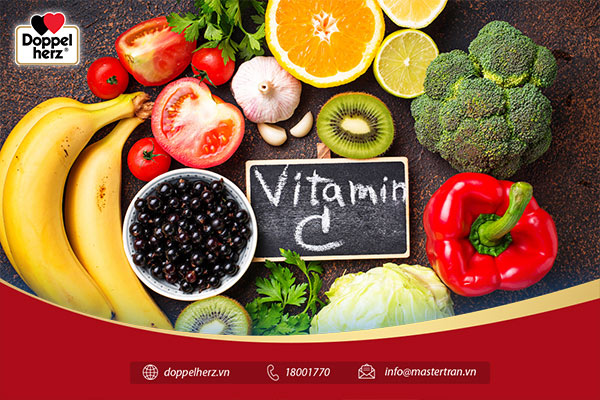 Vitamin C có vai trò quan trọng trong việc duy trì hoạt động sống cơ thể
