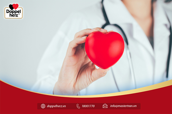 Bổ sung Coenzyme Q10 giúp tăng cường sức khỏe tim mạch