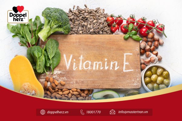 Vitamin e có nhiều trong các loại hạt, quả hạch, dầu thực vật, trái cây, rau củ…