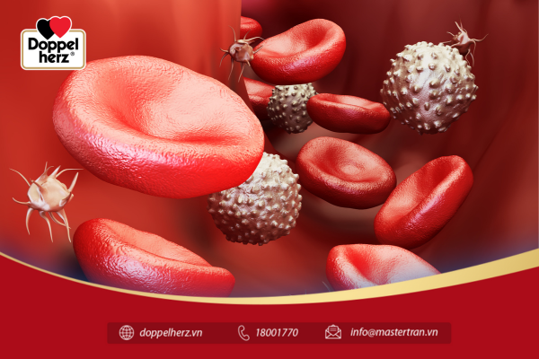Tình trạng thiếu máu ảnh hưởng đến chỉ số huyết áp