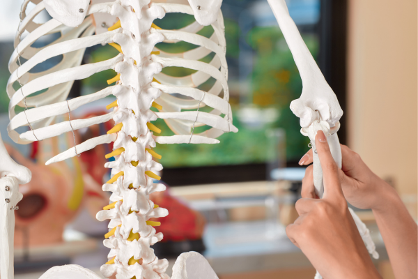 Công dụng canxi là gì với sức khỏe tổng thể