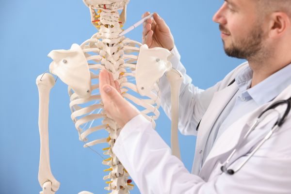 chức năng của xương có liên quan trực tiếp đến khả năng vận động của con người