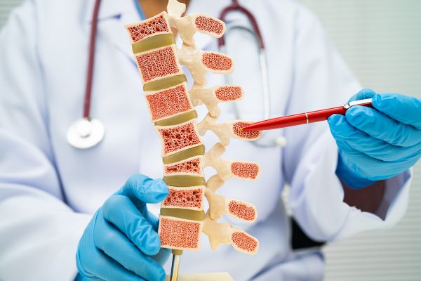 cấu trúc của xương được tổ chức một cách đặc biệt để đảm nhận tốt chức năng của xương