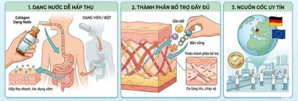 yếu tố quyết định collagen loại nào tốt