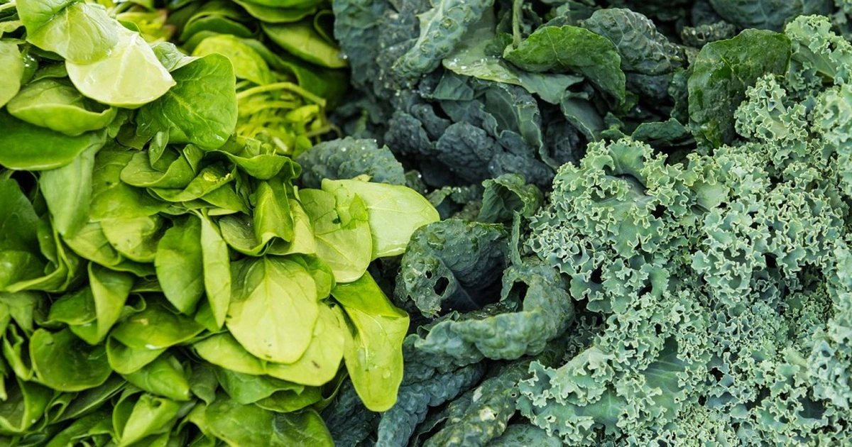 thực phẩm giàu collagen