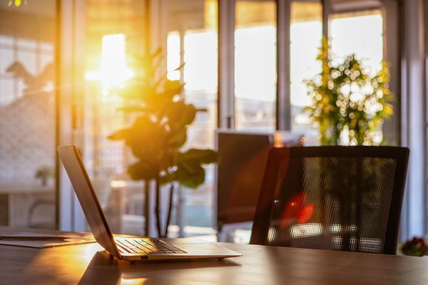 tăng ánh sáng giảm áp lực thoái hóa điểm vàng