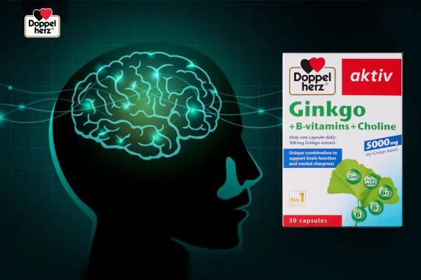 Doppelherz Ginkgo+B-vitamins+Choline