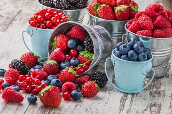 trái cây mọng nước giúp cải thiện trí nhớ