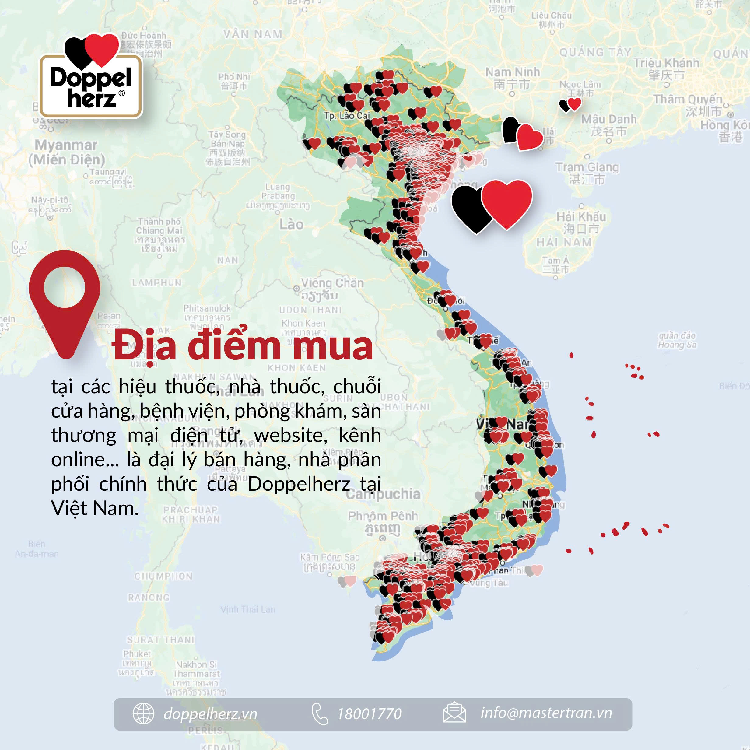 Hệ thống phân phối và danh mục sản phẩm đa dạng